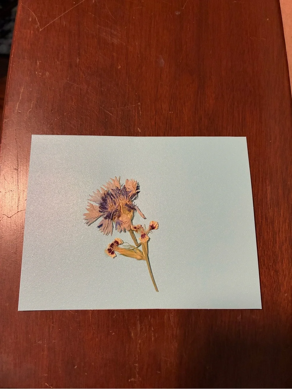 Handmade Pressed Flowers on Blank Note Card - Minimal Botanical Stationery